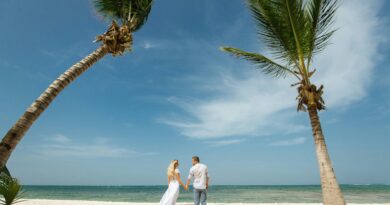 A couple on a beach holding hands under a couple of palm trees