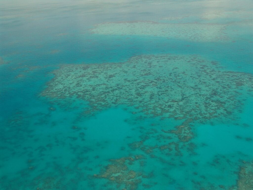Great Barrier Reef dive