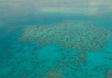 Great Barrier Reef dive