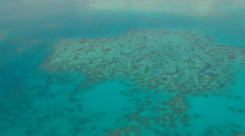 Great Barrier Reef dive