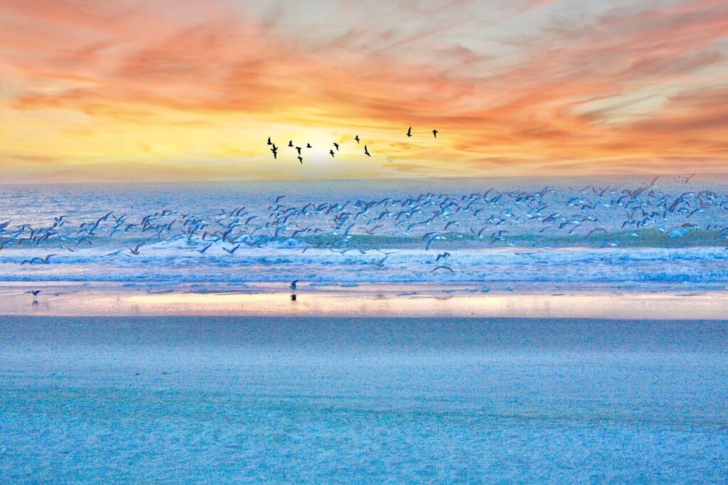 Myrtle Beach during sunset