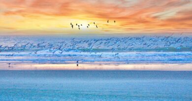 Myrtle Beach during sunset