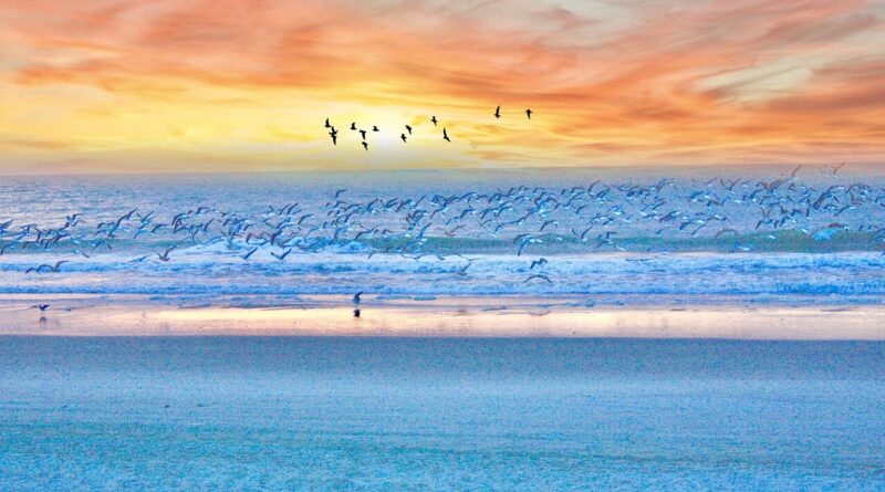 Myrtle Beach during sunset