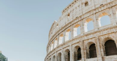 The Colosseum Rome Italy during daytime