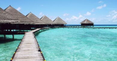 Luxury overwater bungalows