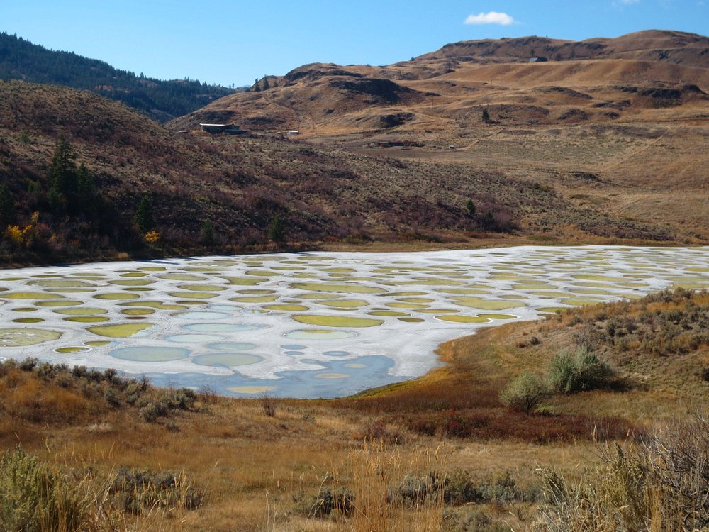 Mineral-rich colorful pools at Spotted Lake in BC, a hidden wonder of Canada