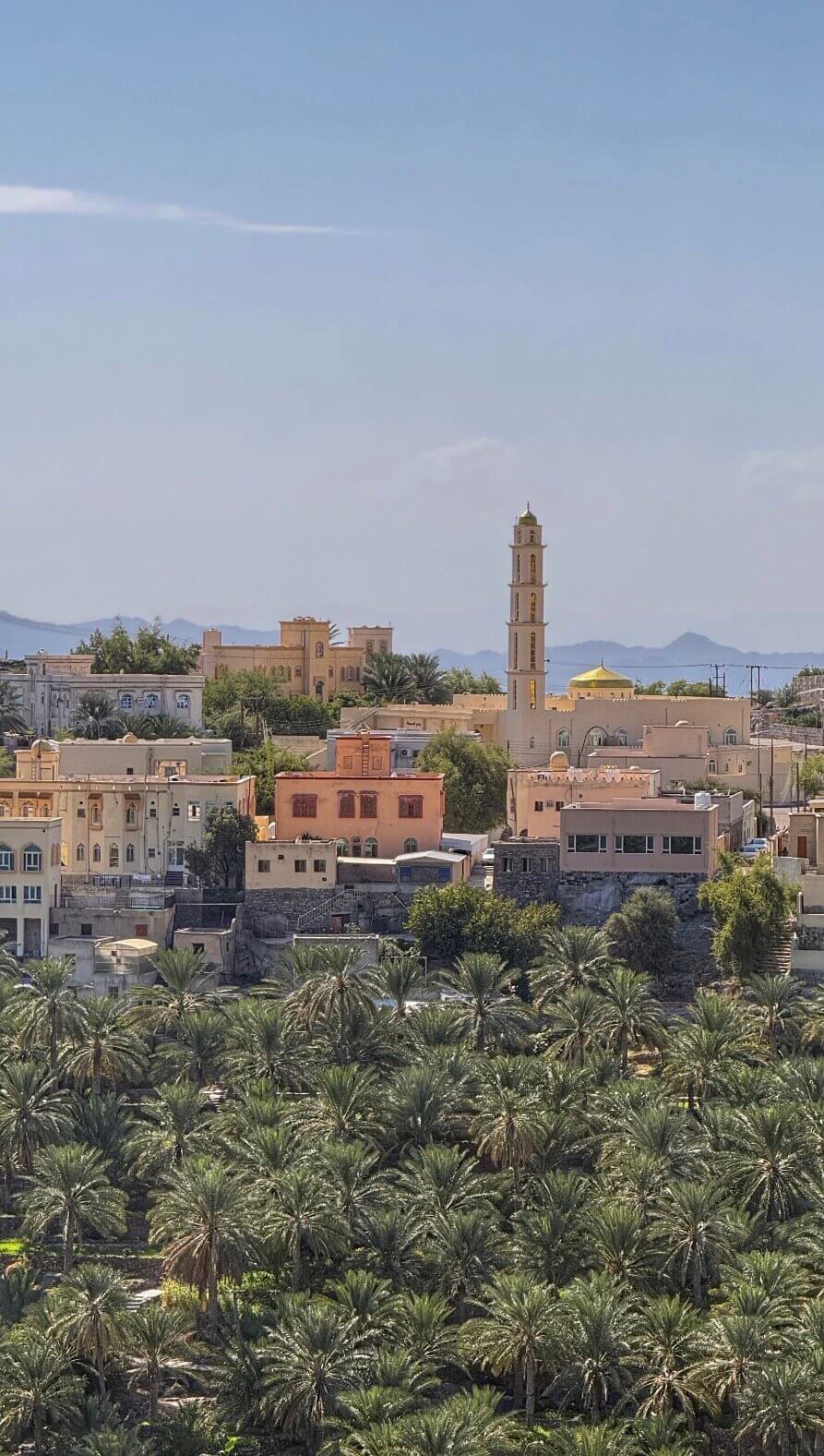 View at Misfat al Arbeyeen