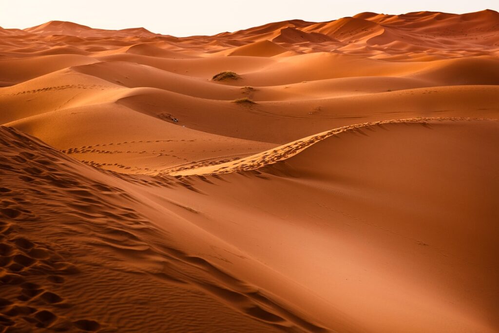 photo of the desert
