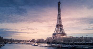 The Eiffel Tower seen from distance in Paris