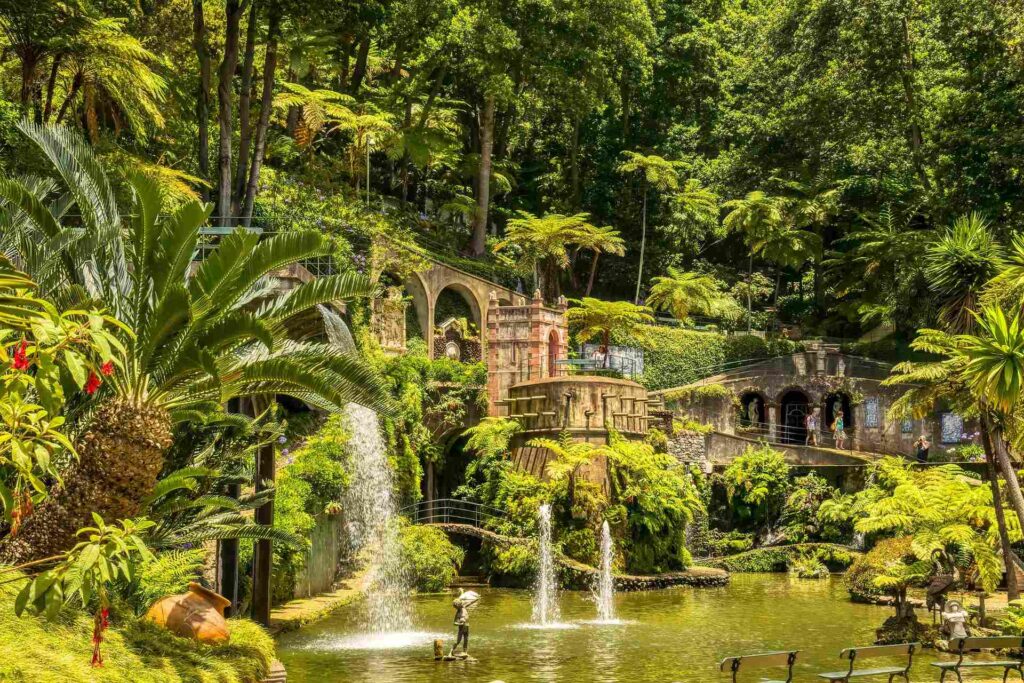 Tropical Gardens, Funchal, Madeira