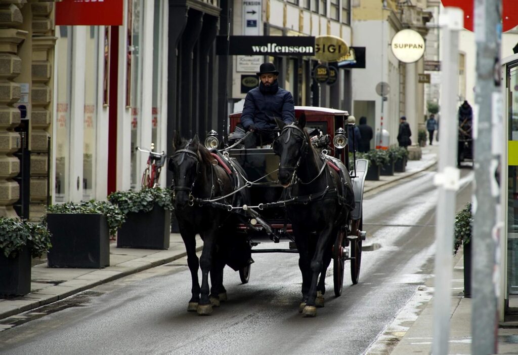 Horse-riding in the streets of Vienna