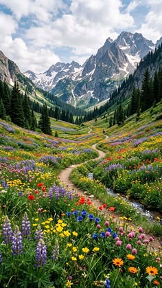Himalayan wildflowers in bloom at Valley of Flowers National Park, India