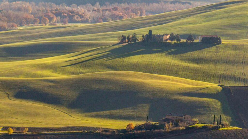 Winding road lined with cypress trees through the green hills of the Val d'Orcia, Tuscany